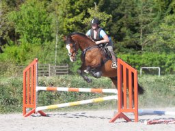 IMG_0645_web